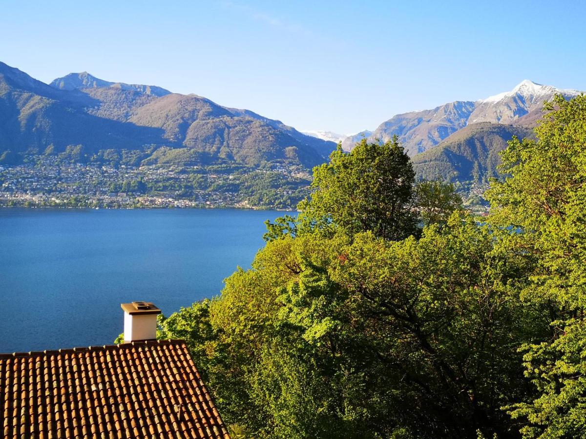 1 Zimmer Apartment Mit Seesicht Und Pool Gambarogno Экстерьер фото