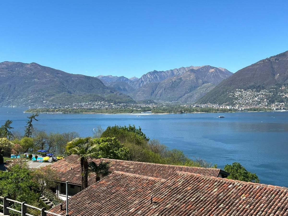 1 Zimmer Apartment Mit Seesicht Und Pool Gambarogno Экстерьер фото
